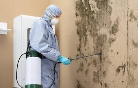 Best Air Quality Testing for Mold Spores  in Sanborn, IA